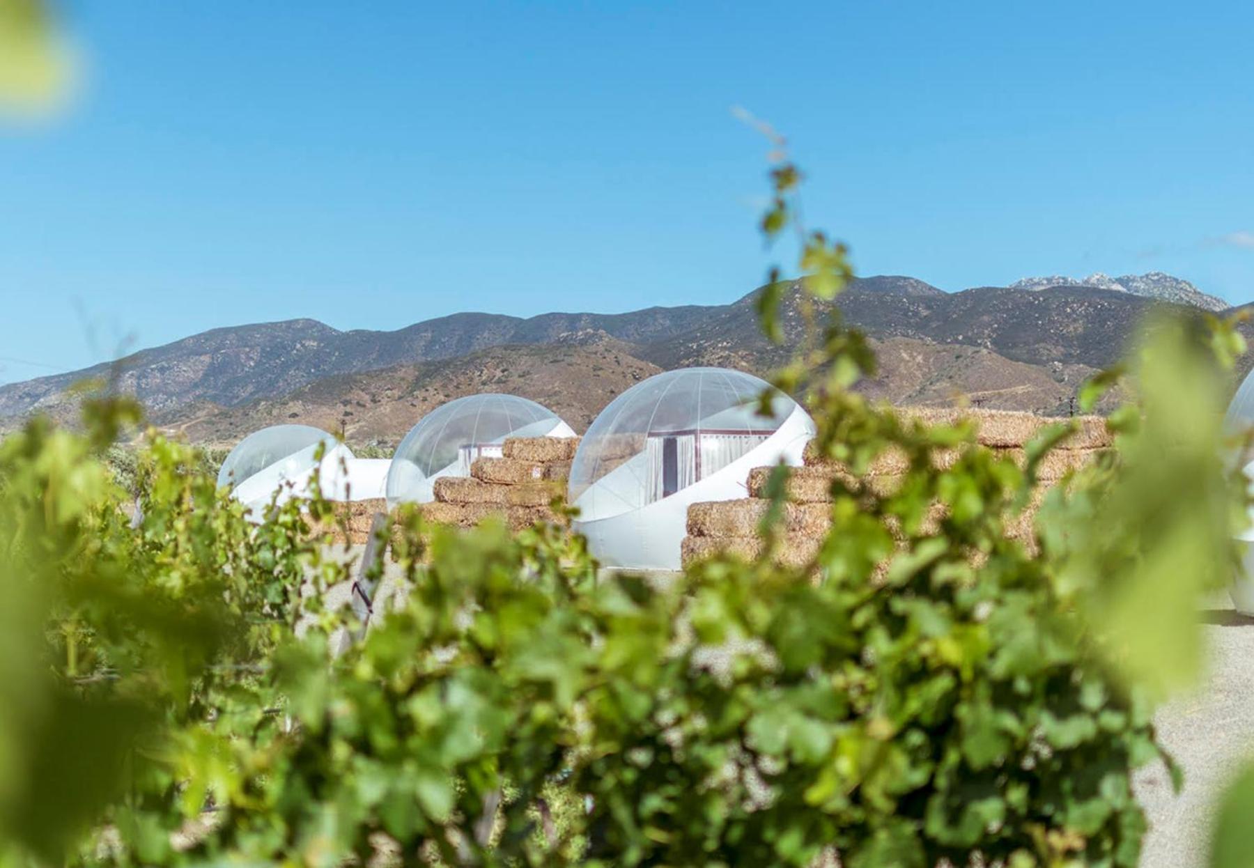 Campera Valle De Guadalupe エンセナダ エクステリア 写真