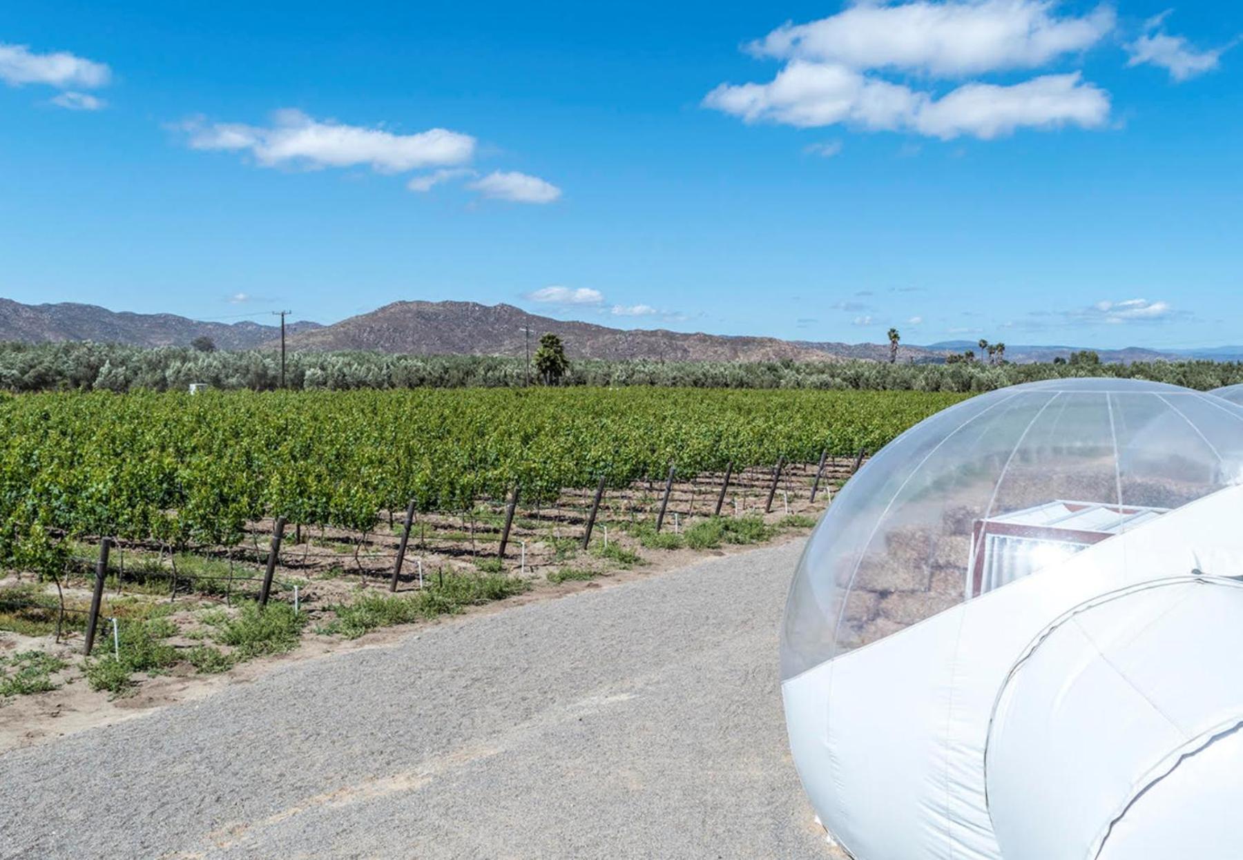 Campera Valle De Guadalupe エンセナダ エクステリア 写真