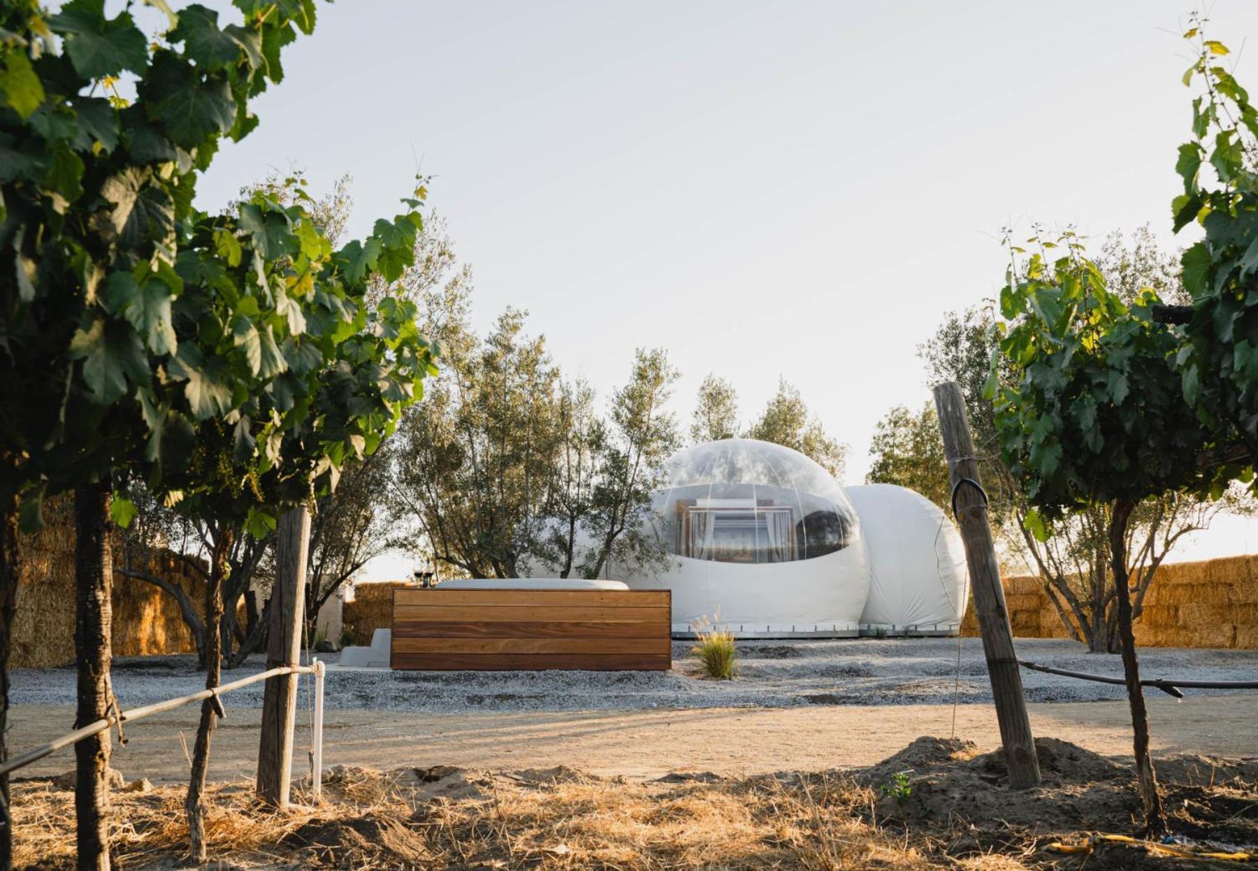 Campera Valle De Guadalupe エンセナダ エクステリア 写真